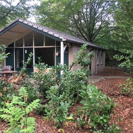 Vakantiebungalow De Schaapskooi エーペ エクステリア 写真