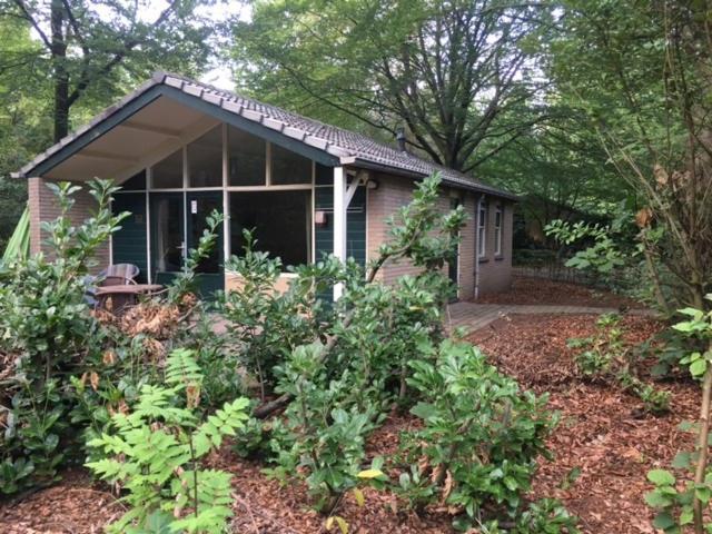 Vakantiebungalow De Schaapskooi エーペ エクステリア 写真