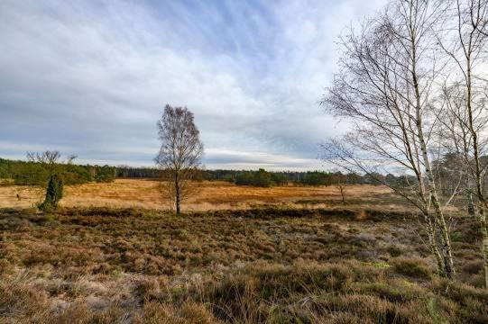 Vakantiebungalow De Schaapskooi エーペ エクステリア 写真